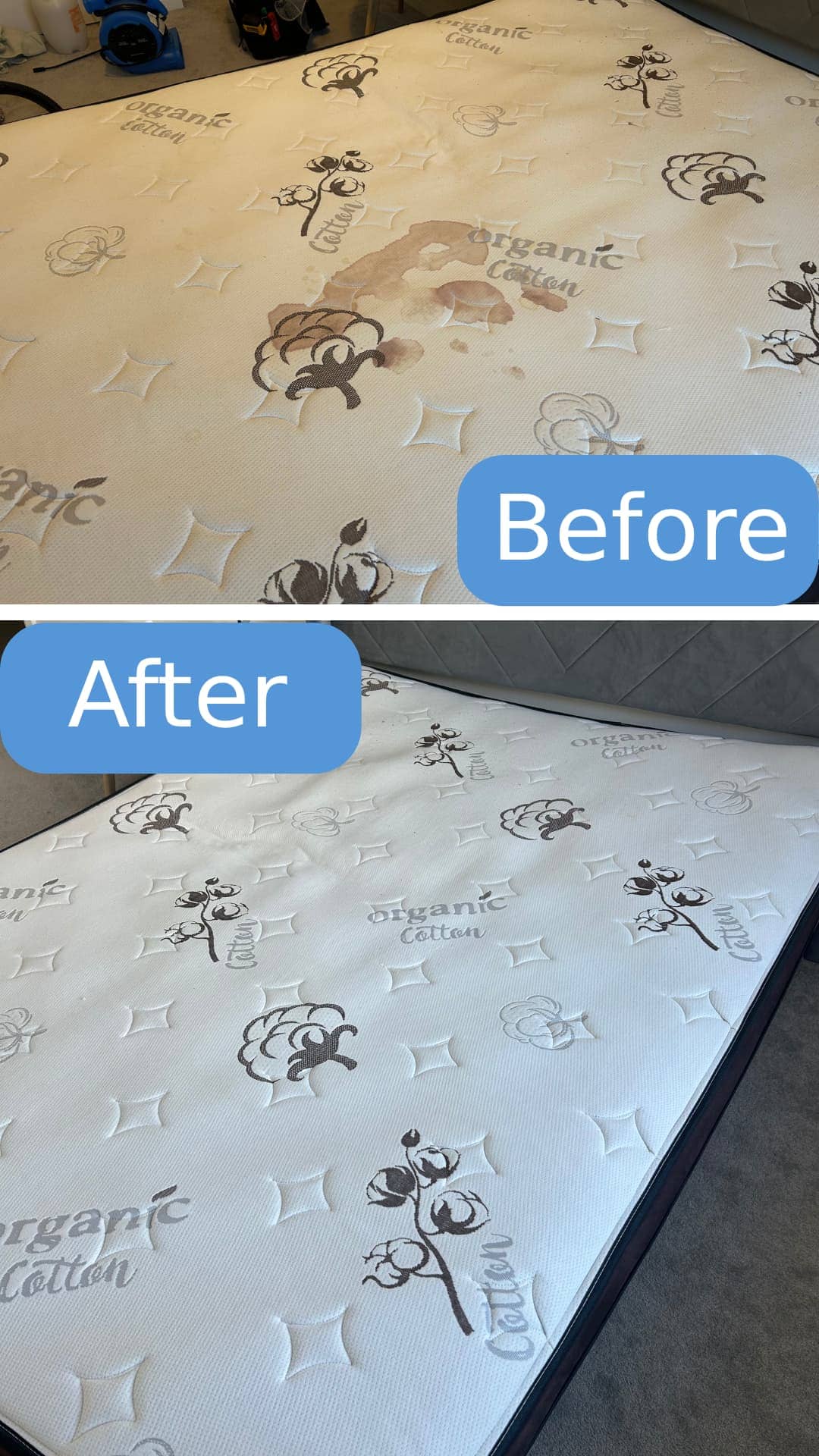 Before and after mattress cleaning in Niagara Falls by Cleanson
