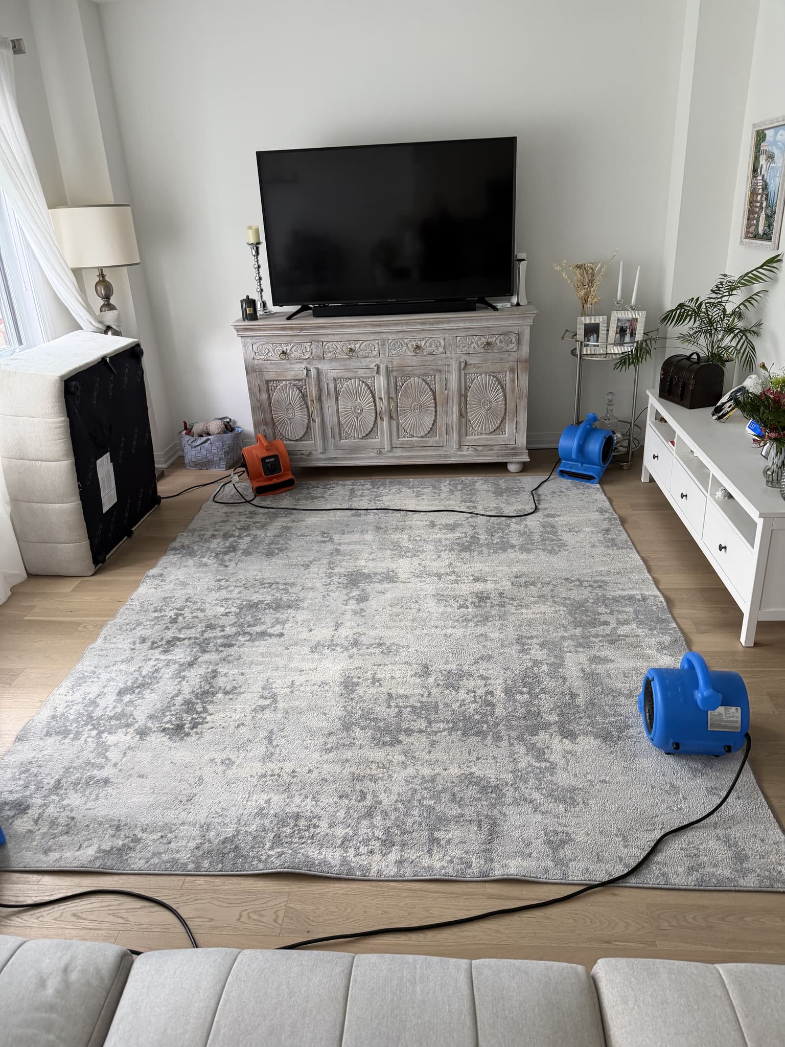 Carpet cleaning in Welland in progress by Cleanson