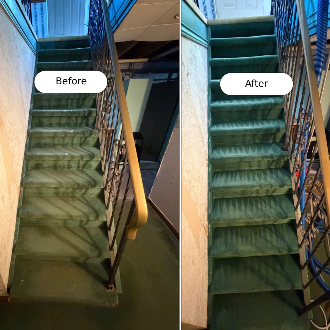 Before and after carpet cleaning in Lincoln by Cleanson
