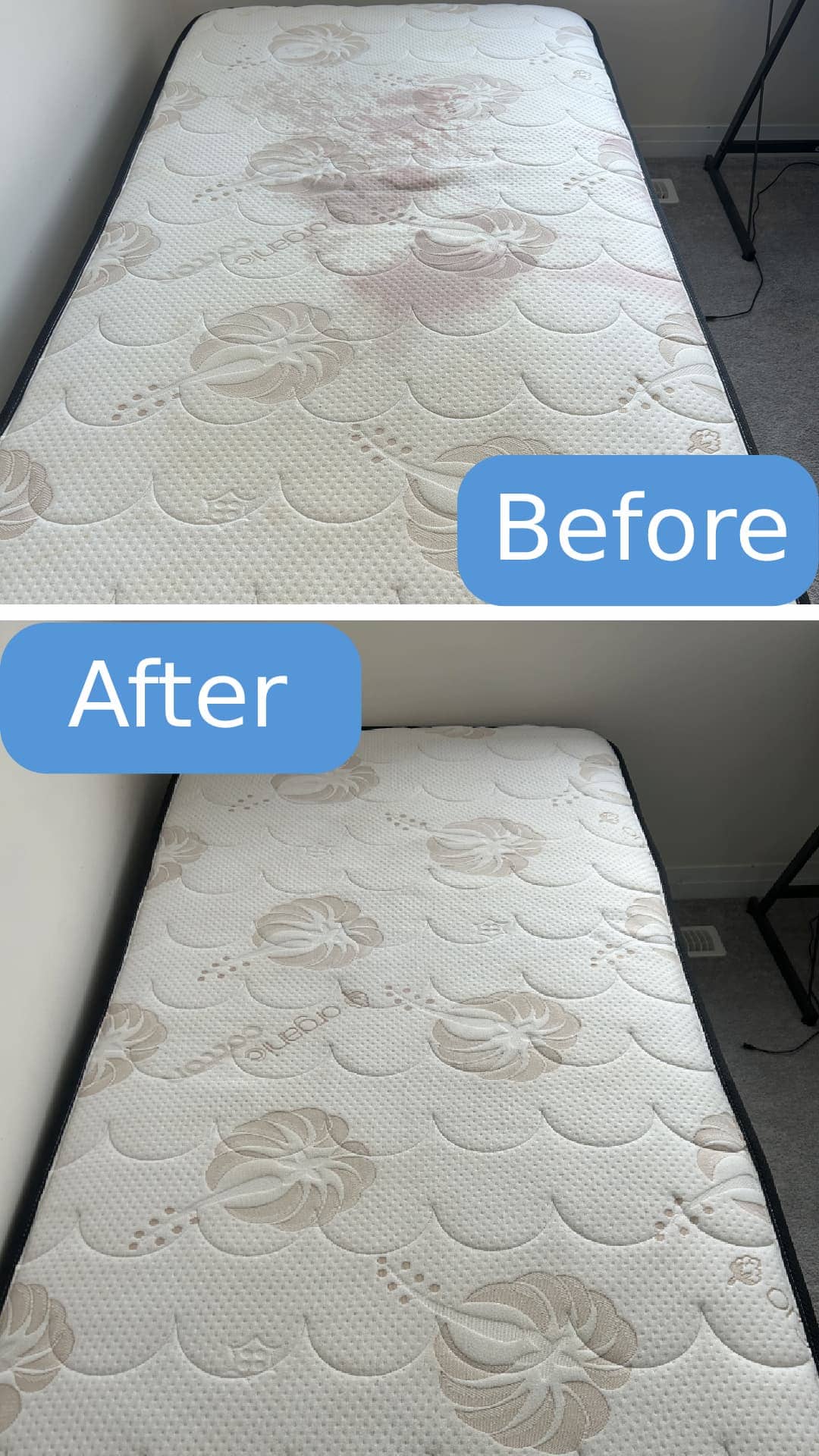 Before and after mattress cleaning in Niagara Falls by Cleanson