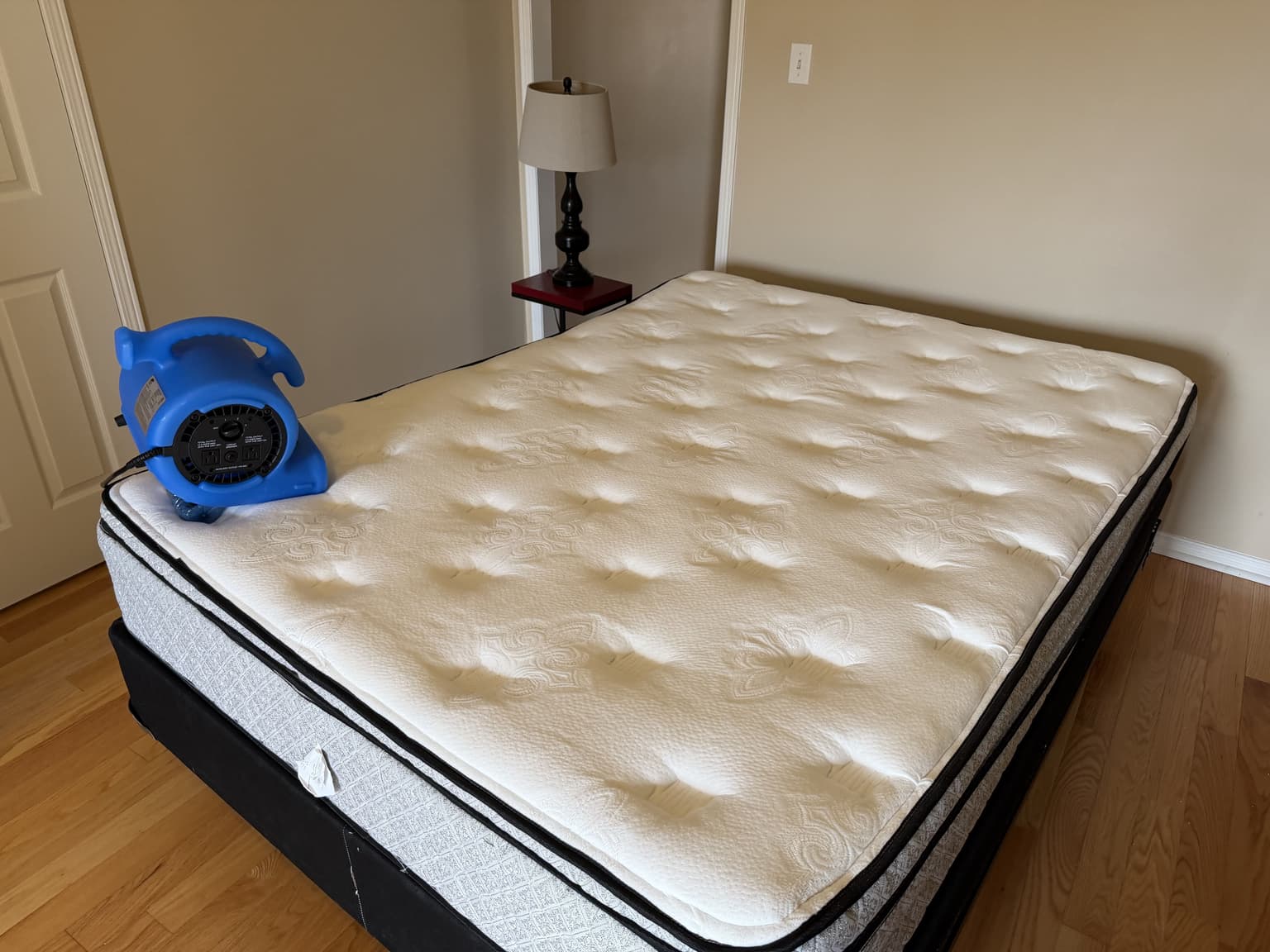 Mattress cleaning in Hamilton in progress by Cleanson