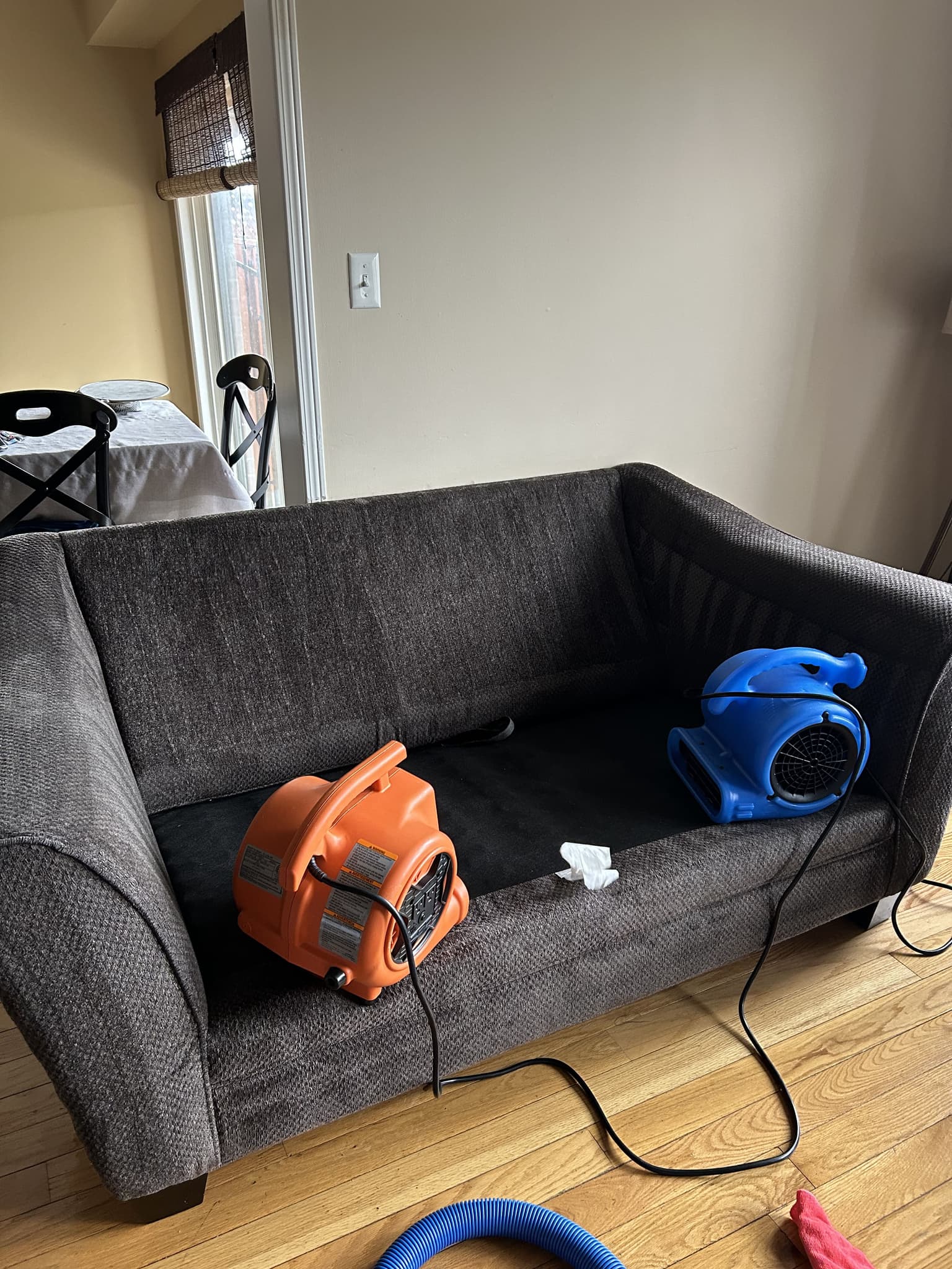 Upholstery cleaning in Hamilton in progress by Cleanson