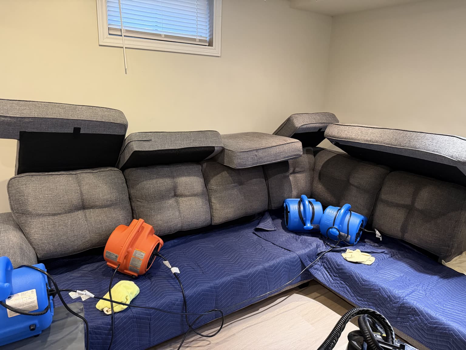 Before and after upholstery cleaning in Hamilton by Cleanson