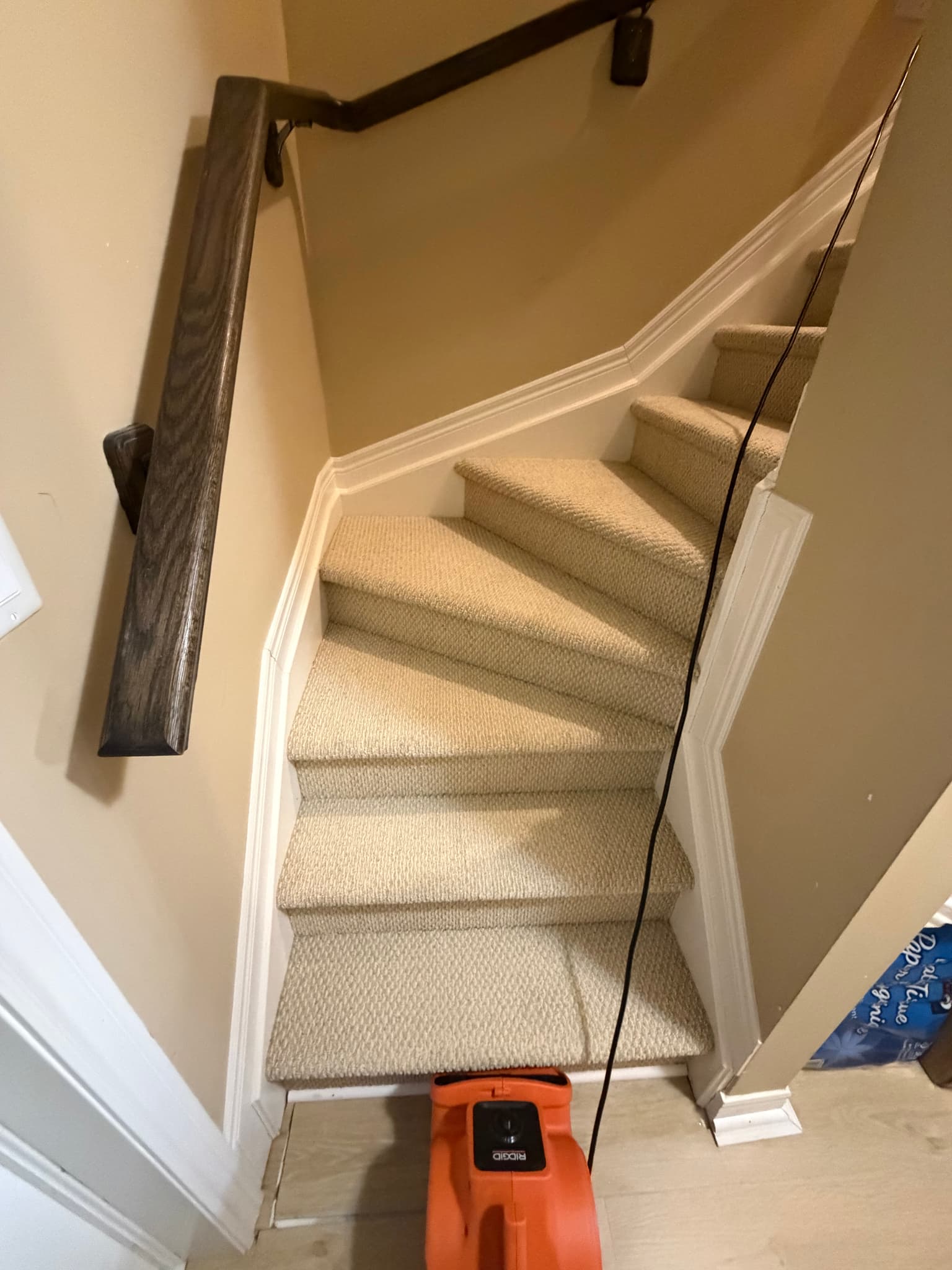Carpet cleaning in Niagara Falls in progress by Cleanson