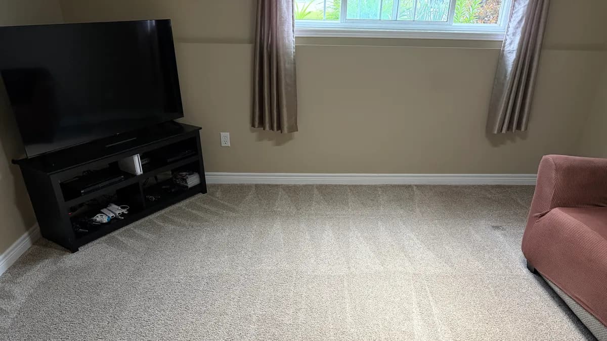 Freshly cleaned carpet with wand lines in a furnished Port Colborne living room