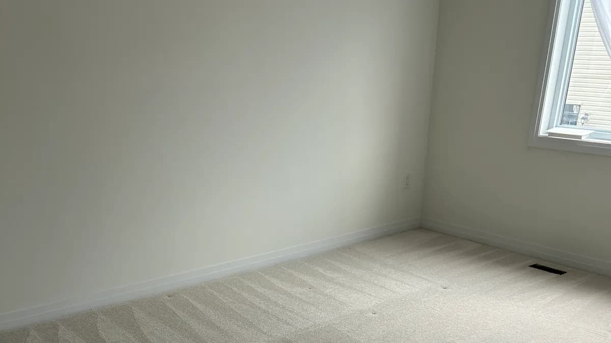 Freshly cleaned carpet in an empty room during a move-out